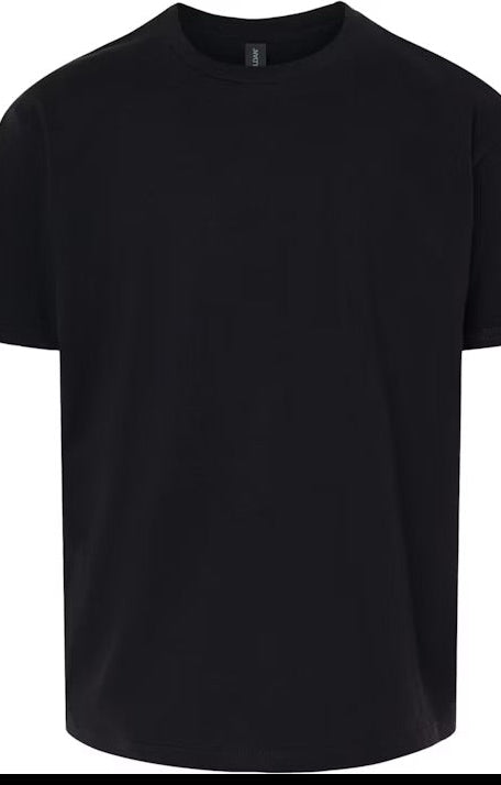 Blank tee shirts , 24 pc set